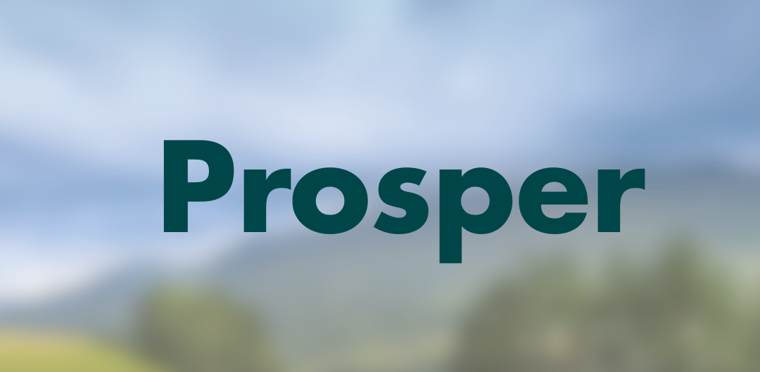 Prosper in Your Business